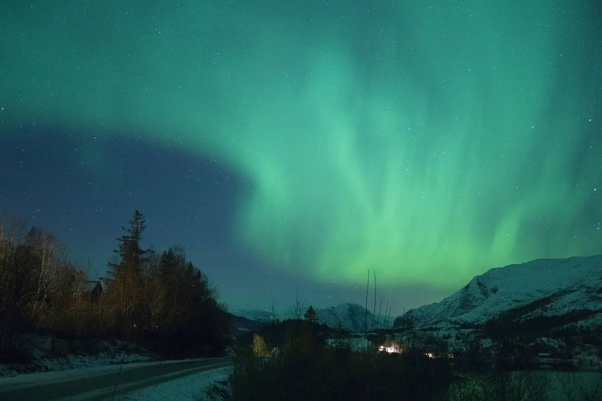 Nordlys over en skogsvei i Norge